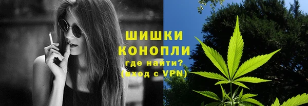 PSILOCYBIN Лагань