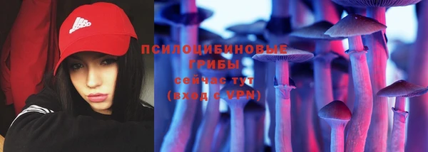 СК Ладушкин