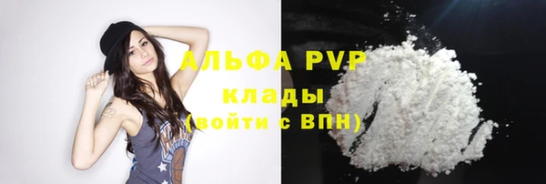 СК Ладушкин