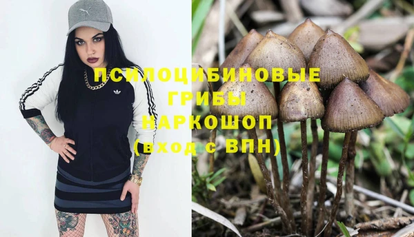 PSILOCYBIN Лагань
