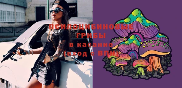 PSILOCYBIN Лагань