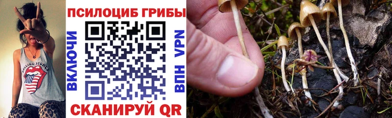 Галлюциногенные грибы Magic Shrooms  Никольское 