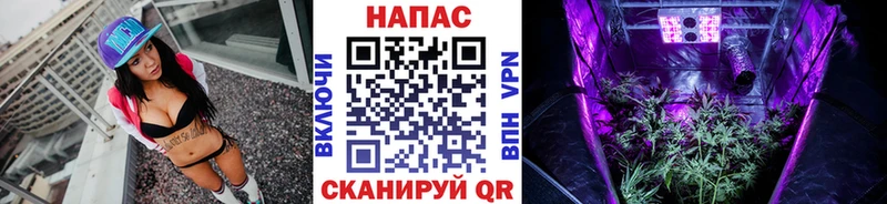 цены Никольское Канабис сатива
